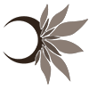 Danselune Bots Logo